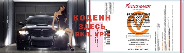 ПСИЛОЦИБИНОВЫЕ ГРИБЫ Богданович