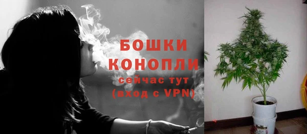 ПСИЛОЦИБИНОВЫЕ ГРИБЫ Богданович