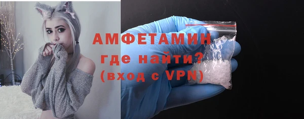 ПСИЛОЦИБИНОВЫЕ ГРИБЫ Богданович