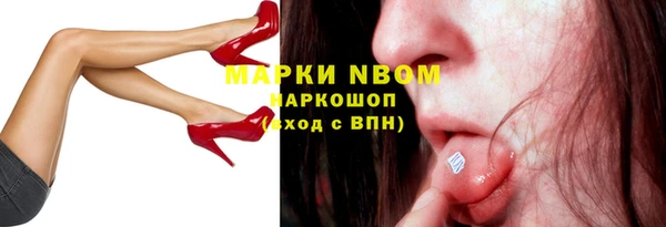 ПСИЛОЦИБИНОВЫЕ ГРИБЫ Богданович