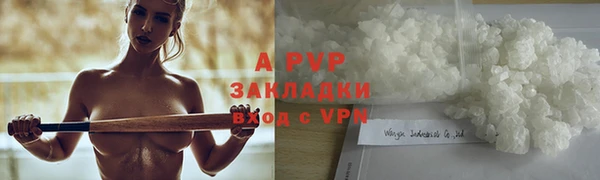 ПСИЛОЦИБИНОВЫЕ ГРИБЫ Богданович