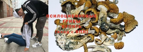 эйфоретик Богородицк