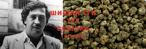 ПСИЛОЦИБИНОВЫЕ ГРИБЫ Богданович