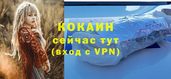 ПСИЛОЦИБИНОВЫЕ ГРИБЫ Богданович