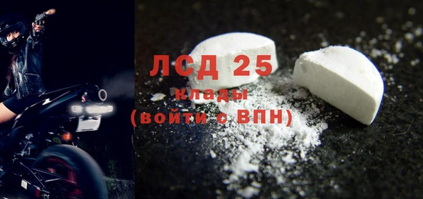 ПСИЛОЦИБИНОВЫЕ ГРИБЫ Богданович