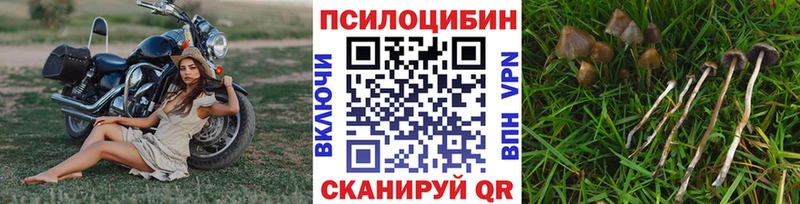 Купить закладки  Абдулино  Галлюциногенные грибы GOLDEN TEACHER 